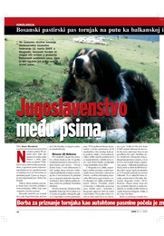 Jugoslavenstvo među psima