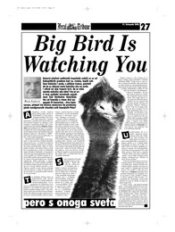 Big Bird Is Watching You
