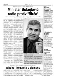 Ministar Bukejlović radio protiv Birča