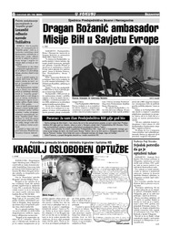 Dragan Božanić ambasador  Misije BiH u Savjetu Evrope