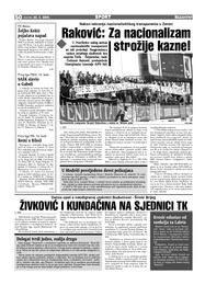 Raković: Za nacionalizam  strožije kazne!