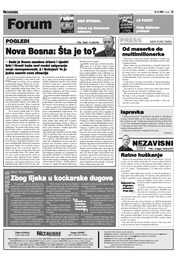 Nova Bosna: Šta je to?