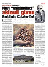 Novi "oslobodioci" skinuli glavu Rodoljubu Čolakoviću!