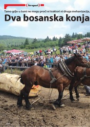 Dva bosanska konja vrednija od BMW-a
